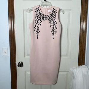 Blush Pink and Black Calvin Klein Dress